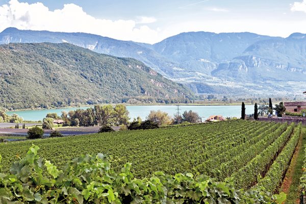 LAST MINUTE: Urlaub in Südtirol