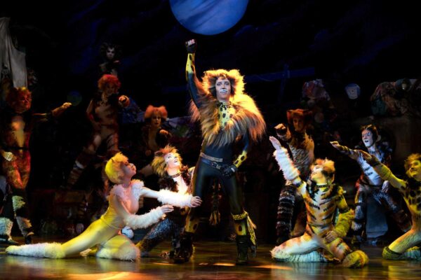 CATS - Der Musicalklassiker – Bild 3