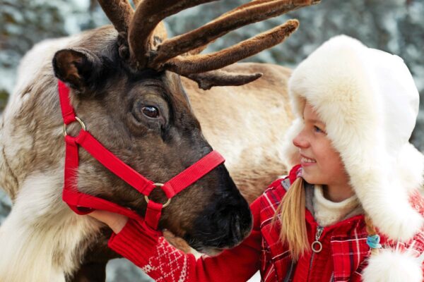 Helsinki - Minikreuzfahrt in die Weihnachtsstadt – Bild 6