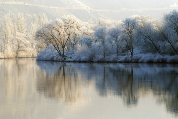 Adventszauber an der Mosel – Bild 4