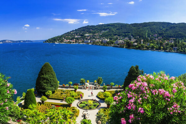 Zur Kamelienblüte an den Lago Maggiore
