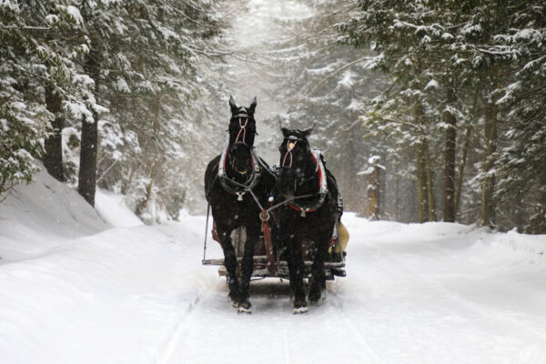 Winterreise nach Schoppernau – Bild 2