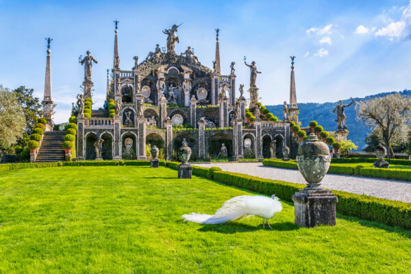 Zur Kamelienblüte an den Lago Maggiore – Bild 3
